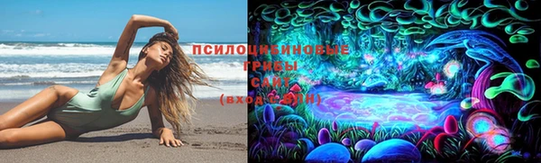 гашик Абдулино
