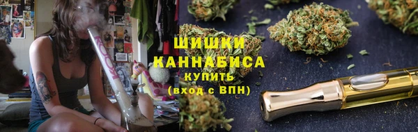 ПСИЛОЦИБИНОВЫЕ ГРИБЫ Абаза